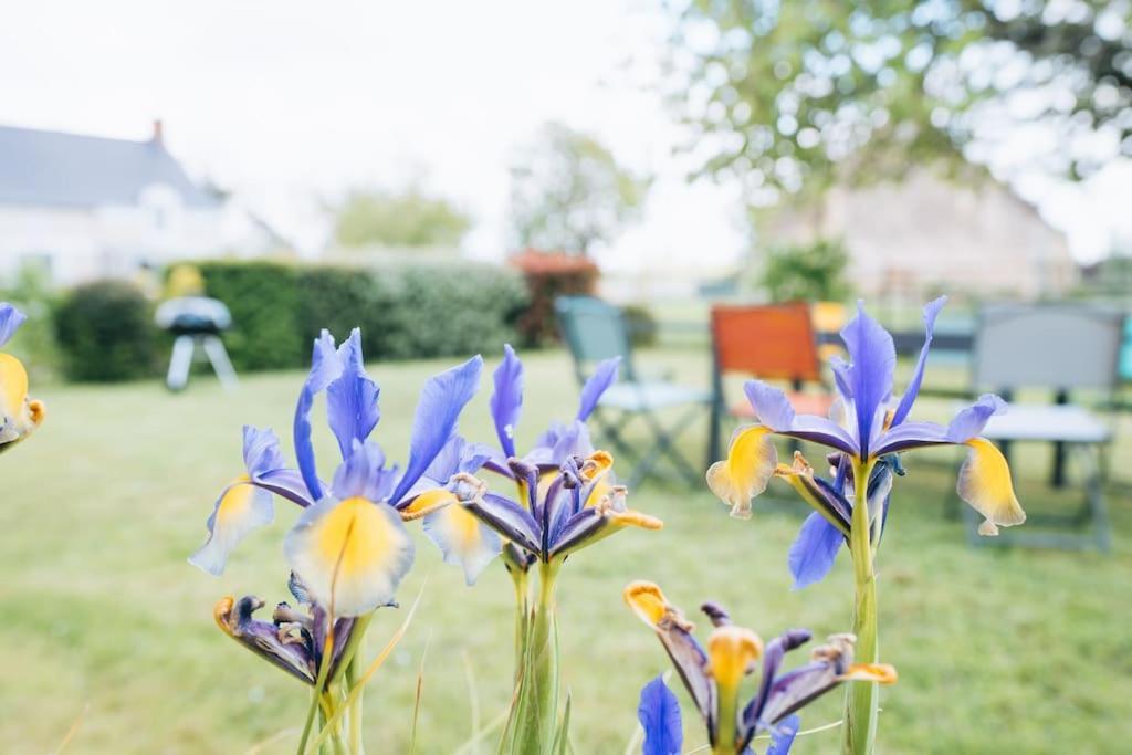 Le Beaumont • La Belle Campagne • La Plenitude Villa Déols Eksteriør billede